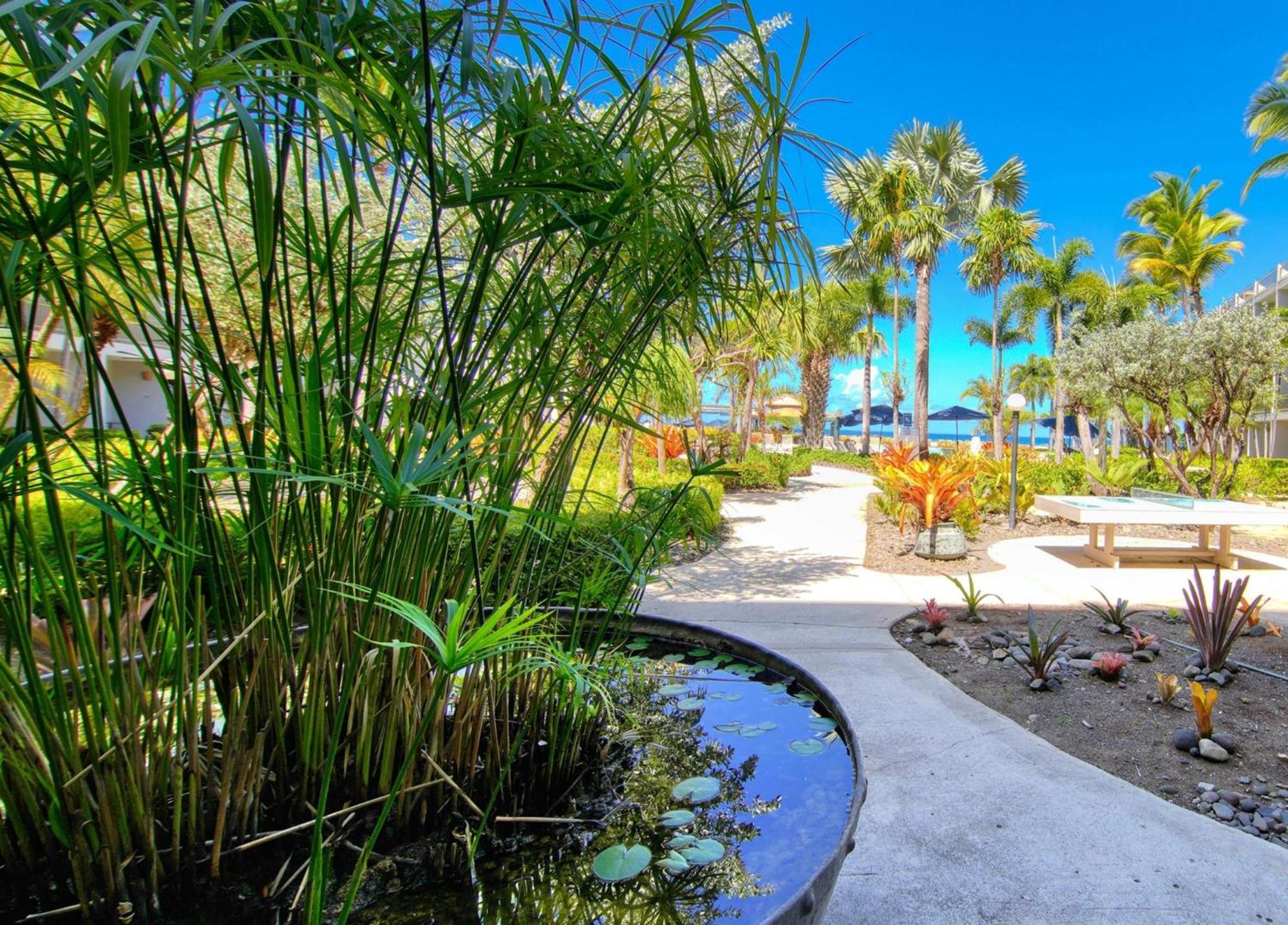 Rincon Of The Seas Grand Caribbean Hotel Ngoại thất bức ảnh